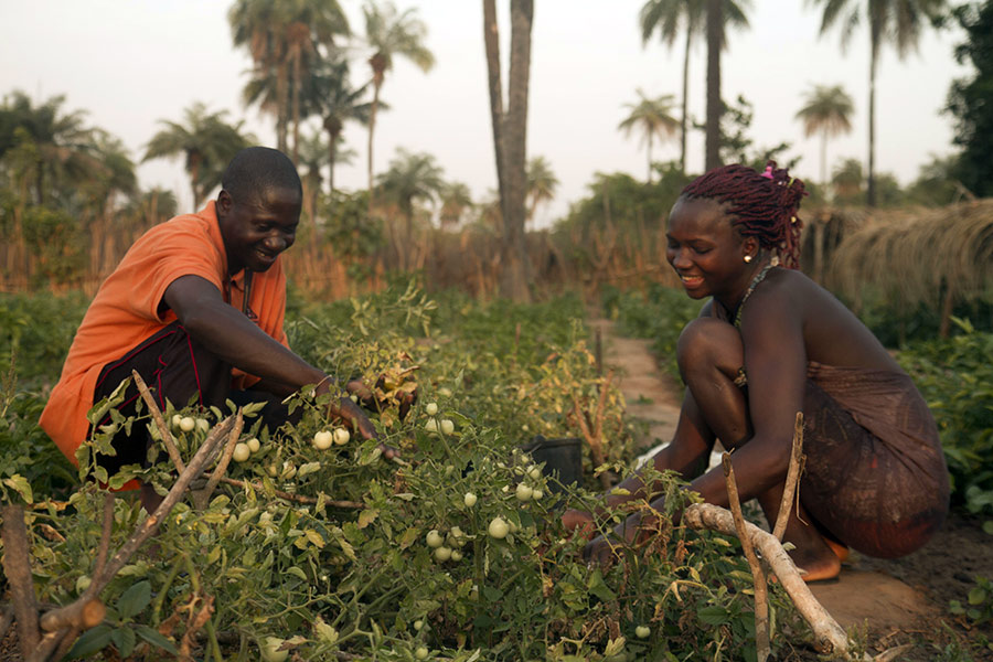 uddannelse guinea bissau boerneskole 900x600